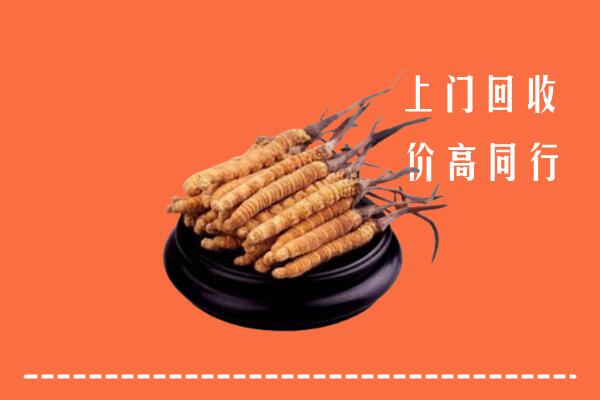 高价求购：镇江京口回收散虫草