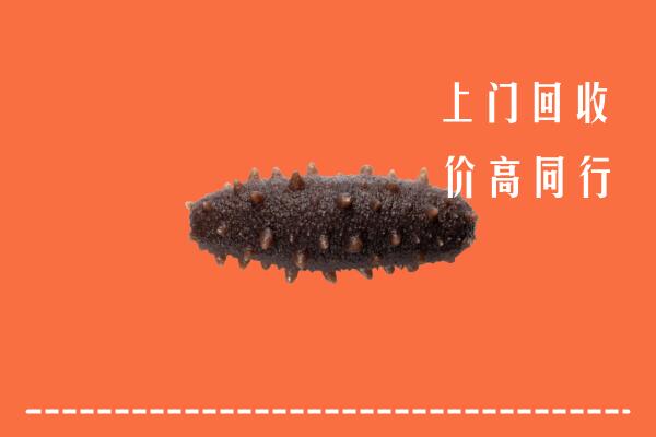 镇江京口回收海参