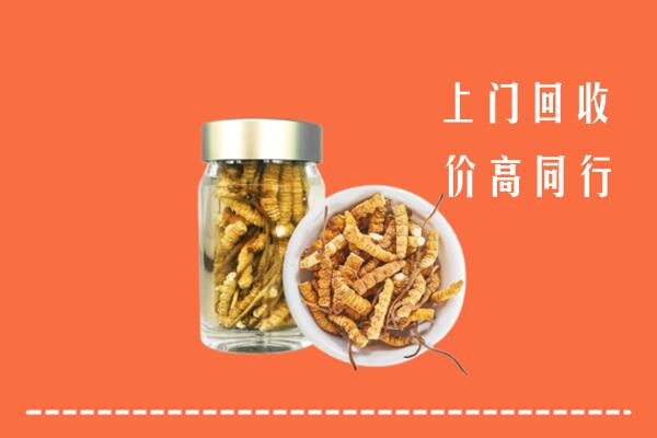 镇江京口回收冬虫夏草